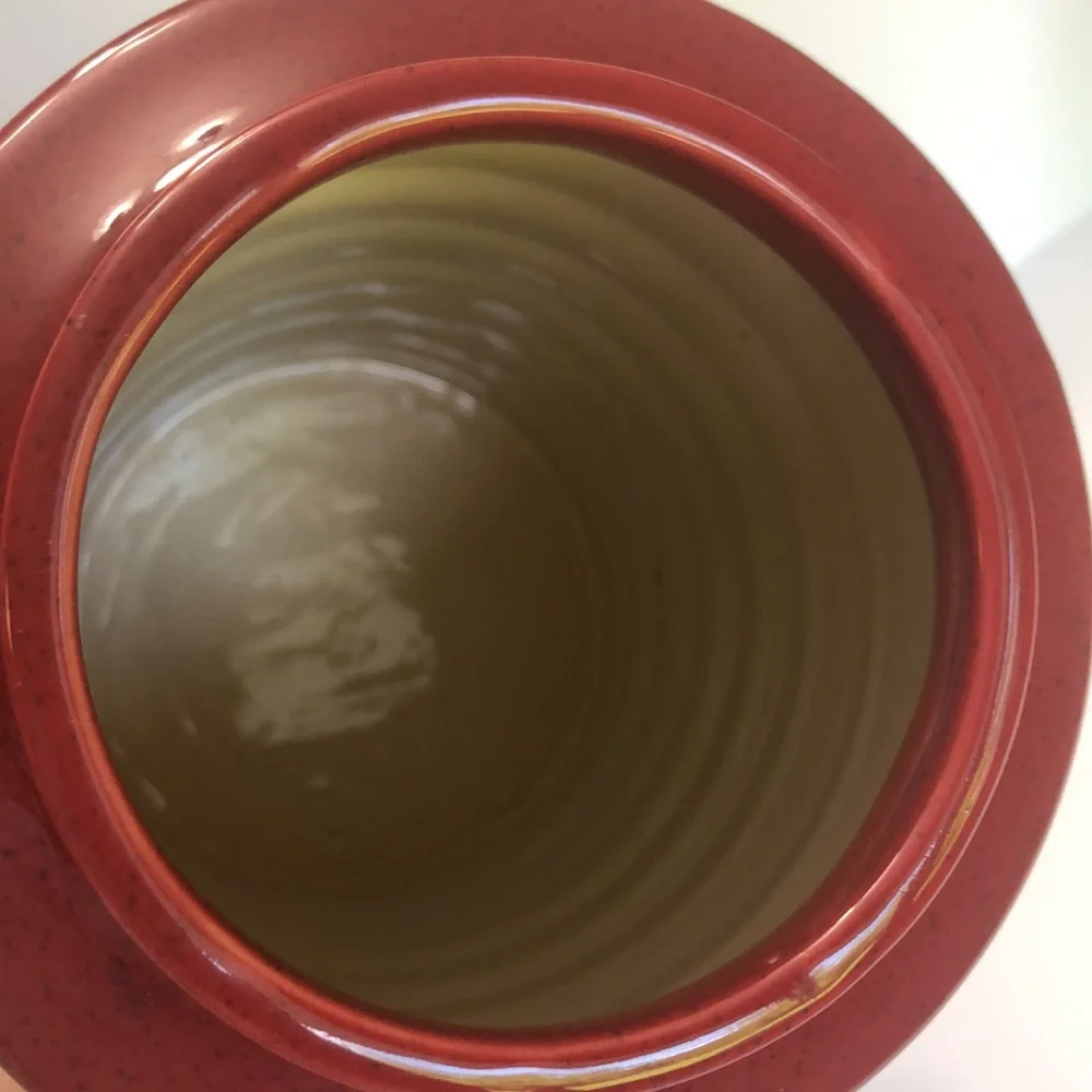 Pier 1 Made In India Red Speckled Ribbed Vase